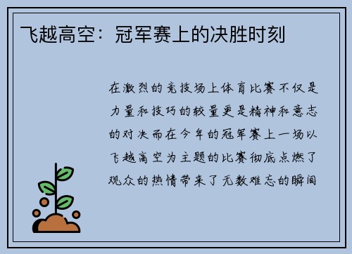 飞越高空：冠军赛上的决胜时刻